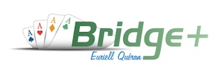 https://www.festivalbridgelabaule.com/wp-content/uploads/Archive Logos Rectangles/Bridge Plus.jpeg